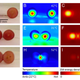Imagen para el artículo titulado Por qué las uvas producen ráfagas de plasma cuando las metemos en el microondas